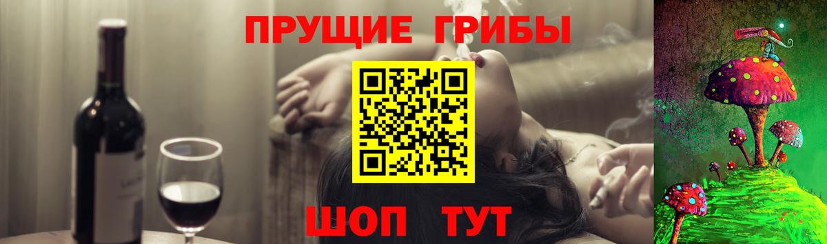 Псилоцибиновые грибы ЛСД  Вход с VPN  Сухой Лог 